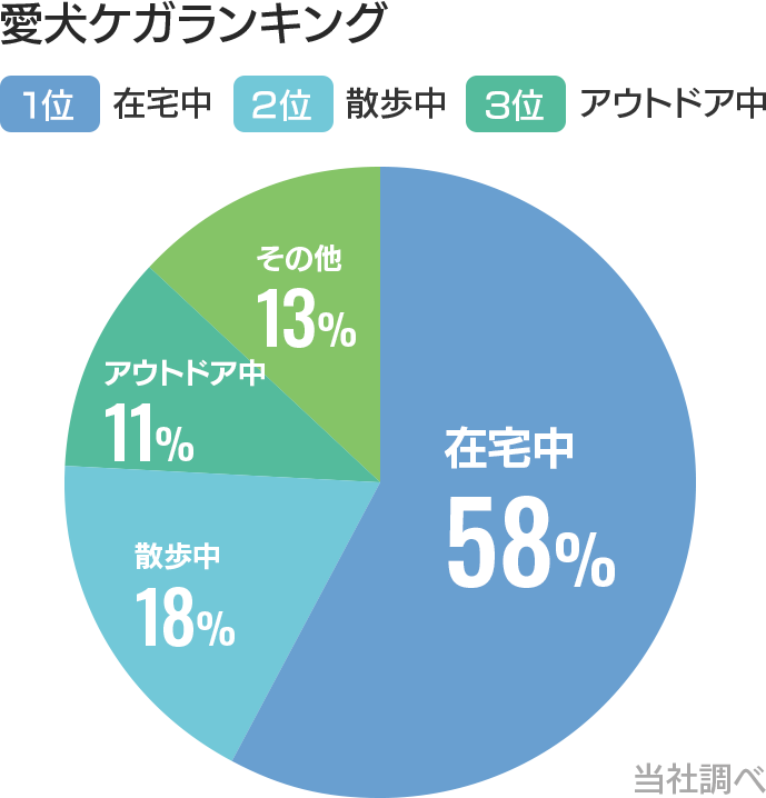 愛犬ケガランキング