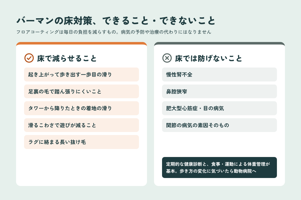 バーマンの床対策で減らせることと床では防げない病気の比較