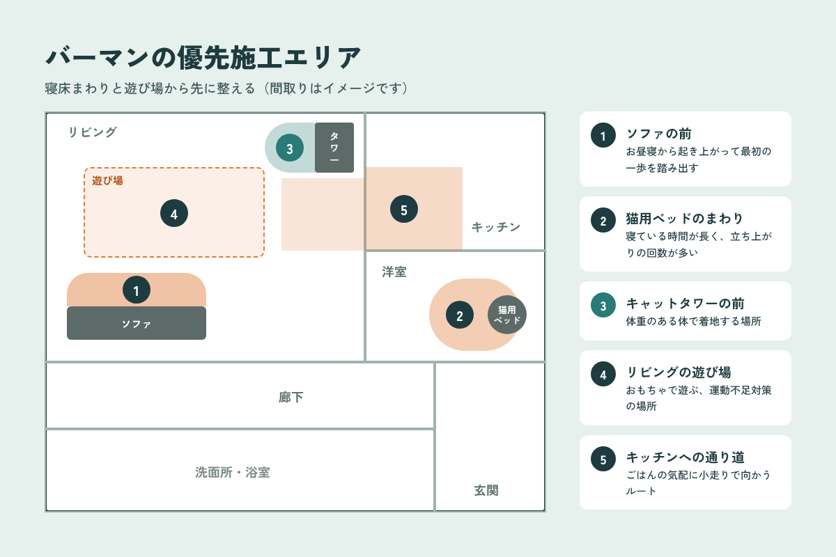 バーマンの優先施工エリア ソファの前・猫用ベッドのまわり・キャットタワー前・遊び場・キッチンへの通り道