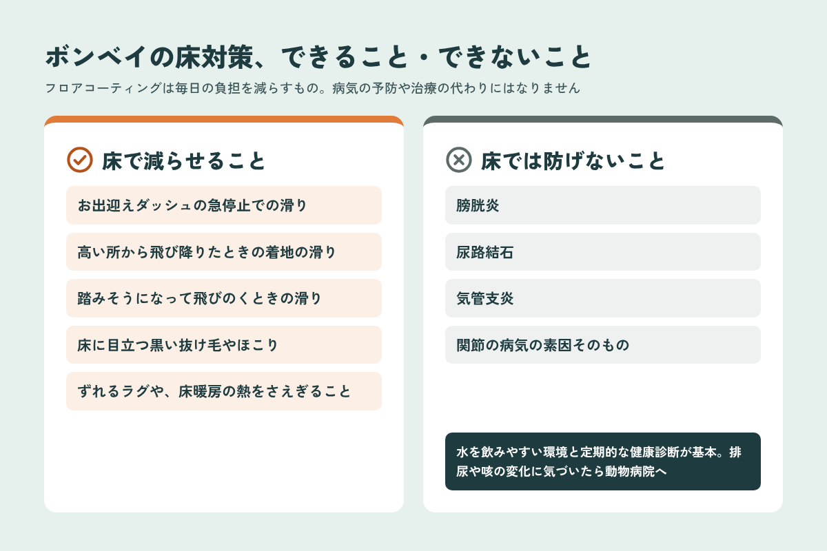 ボンベイの床対策で減らせることと床では防げない病気の比較
