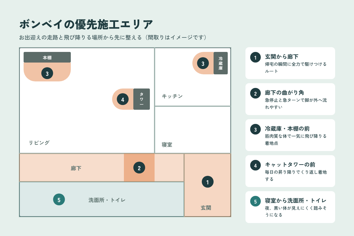 ボンベイの優先施工エリア 玄関から廊下・廊下の曲がり角・冷蔵庫と本棚の前・キャットタワー前・寝室から洗面所
