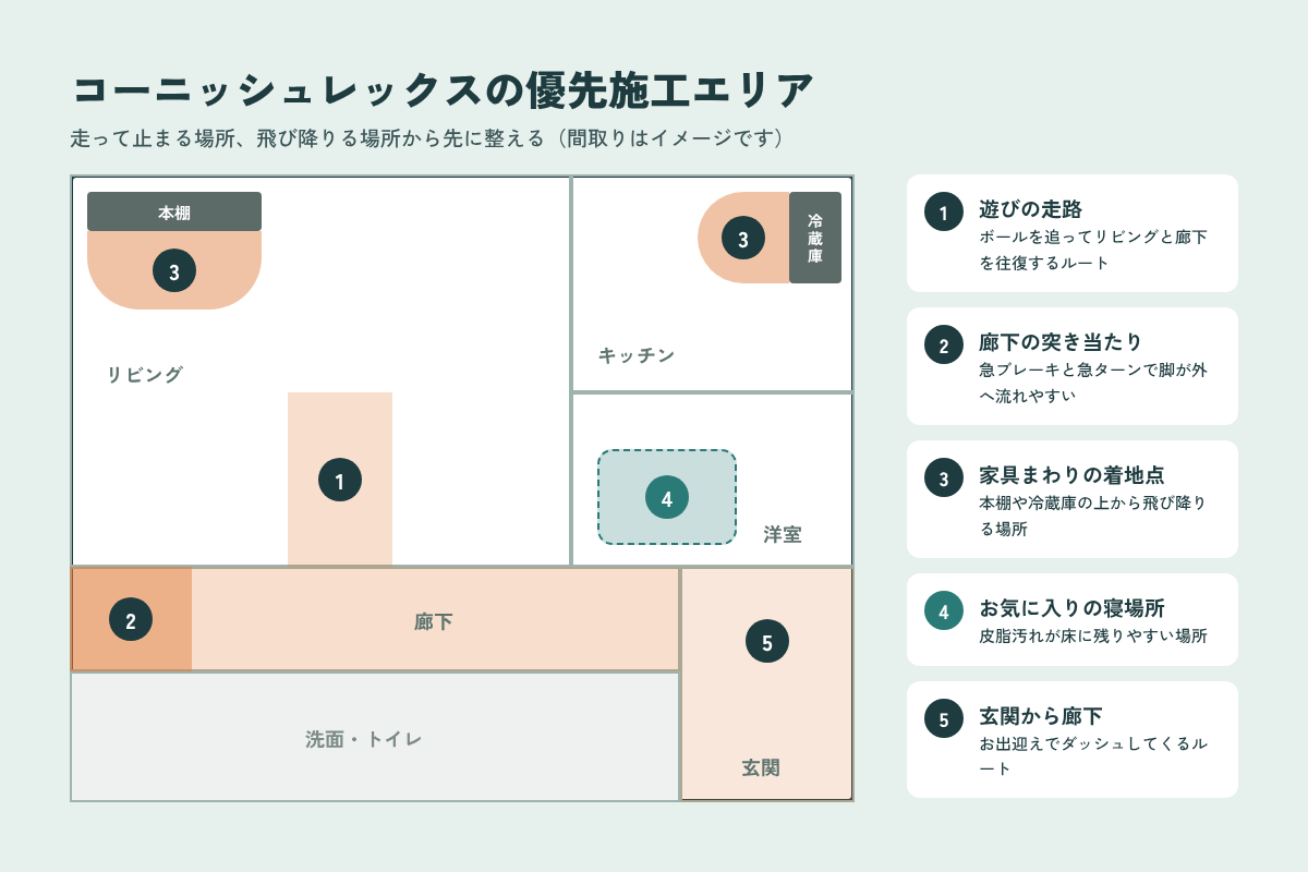 コーニッシュレックスの優先施工エリア 走路・突き当たり・着地点・寝場所・玄関