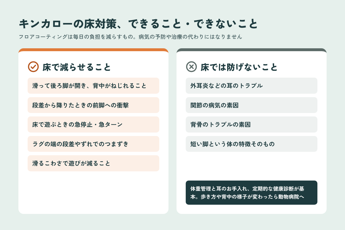 キンカローの床対策で減らせることと床では防げない病気の比較