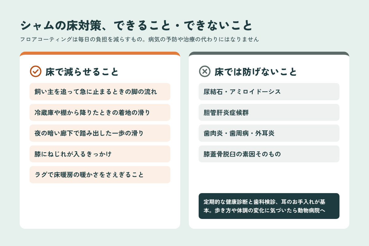 シャムの床対策で減らせることと床では防げない病気の比較
