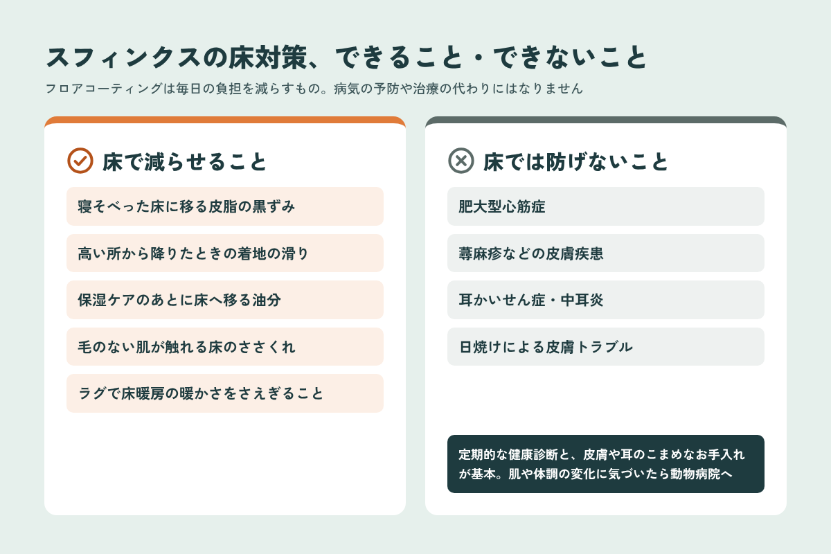 スフィンクスの床対策で減らせることと床では防げない病気の比較