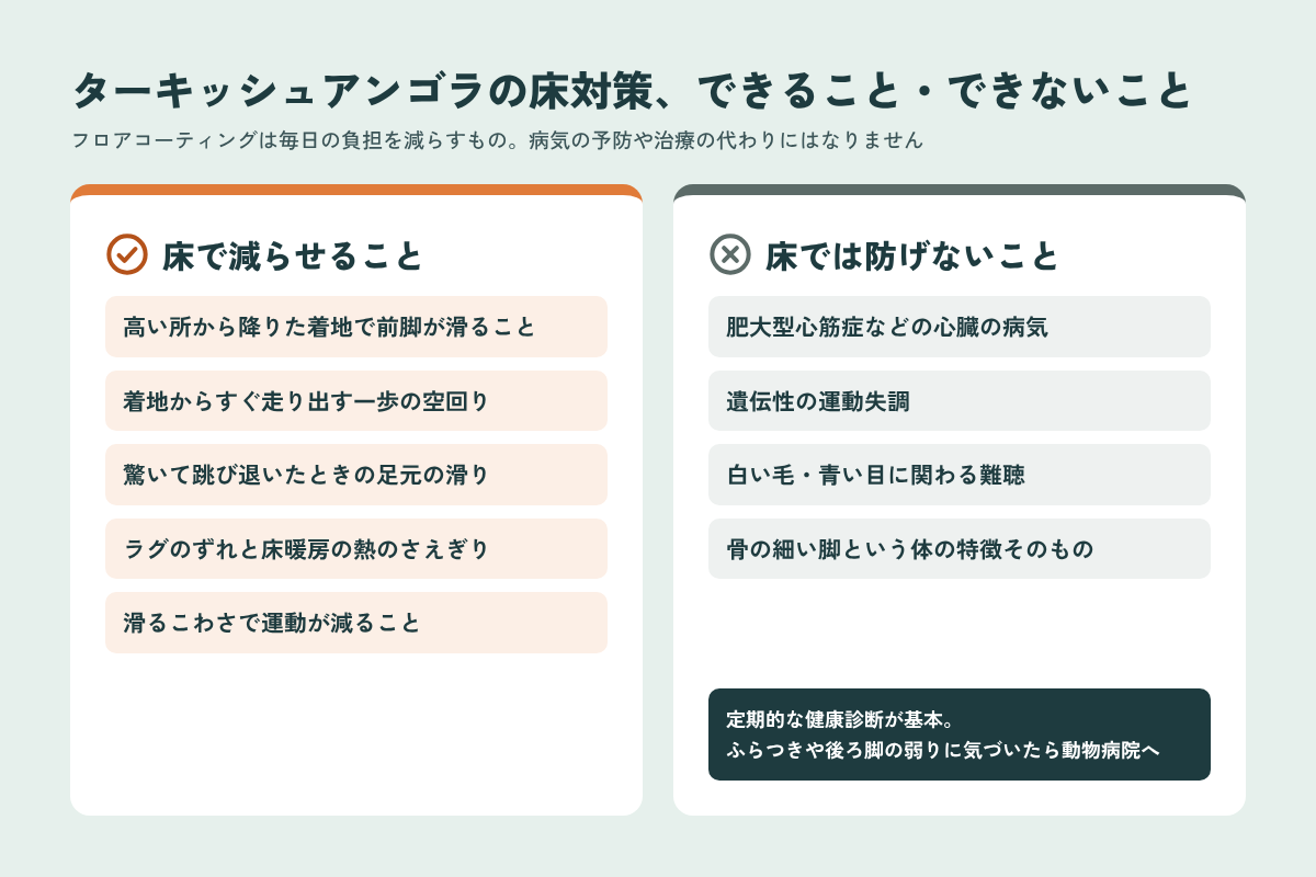 ターキッシュアンゴラの床対策で減らせることと床では防げない病気の比較