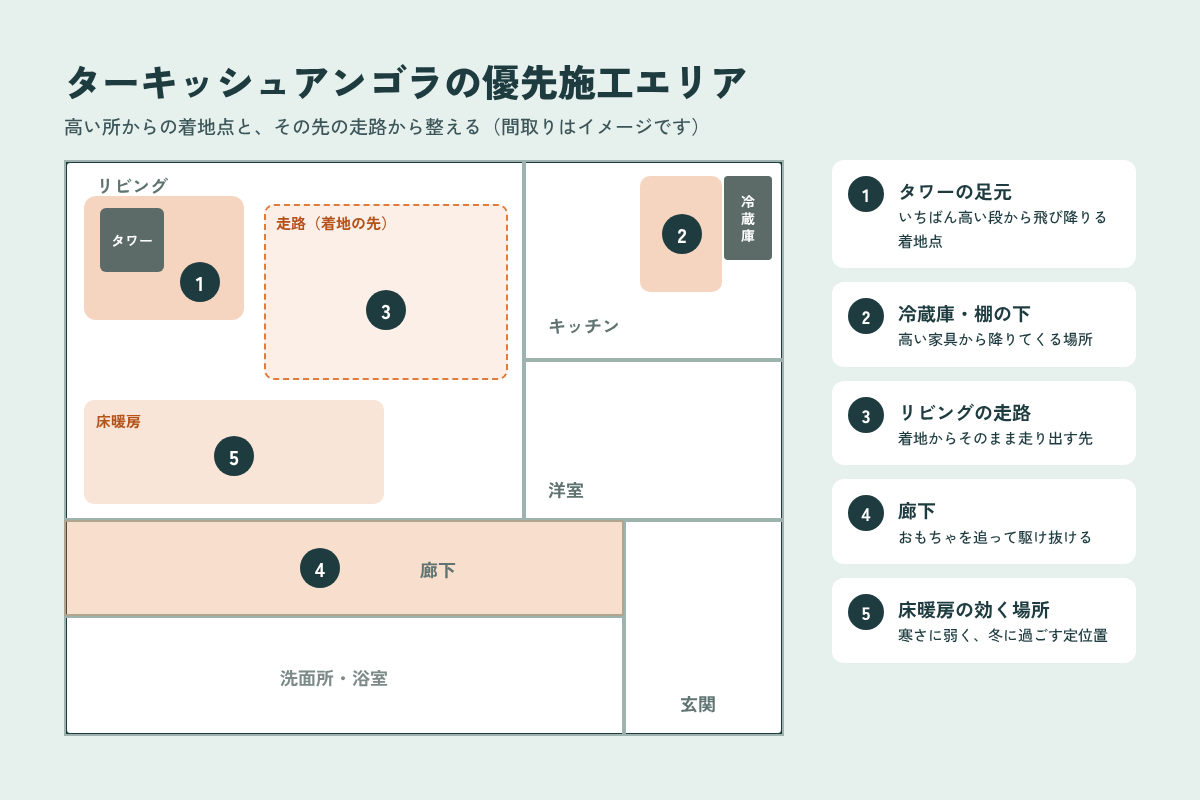 ターキッシュアンゴラの優先施工エリア タワーの足元・冷蔵庫の下・リビングの走路・廊下・床暖房